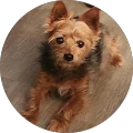 pat plasse Avatar